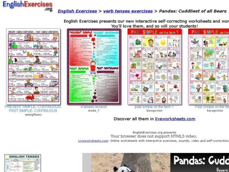 English Exercises:  Verb Tense and Pandas Interactive
