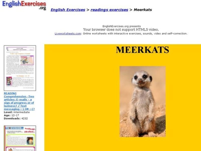 MeerKats - Reading Exercises Interactive
