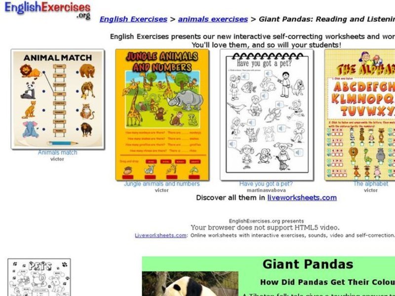 Giant Pandas: listening comprehension Interactive