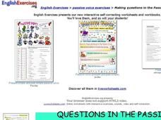 Questions in the Passive Interactive