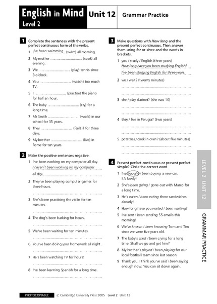 English in Mind Unit 12 Grammar Practice Lesson Plan
