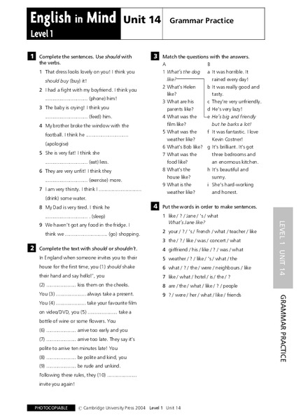 English in Mind Unit 14: Grammar Practice Lesson Plan