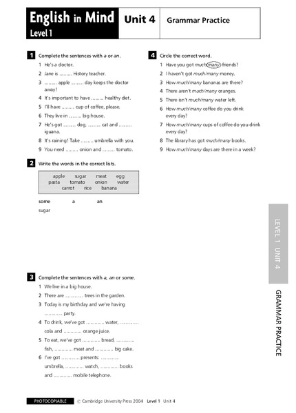 English in Mind Unit 4: Grammar Practice Lesson Plan