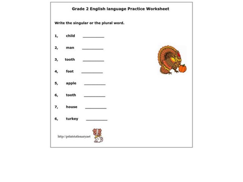 English Language Practice Worksheet Worksheet