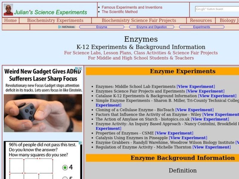 Enzymes Lesson Plan