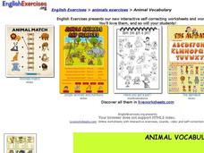 Animal Vocabulary Interactive
