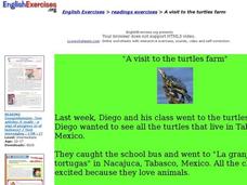 A Visit to the Turtle Farm Interactive