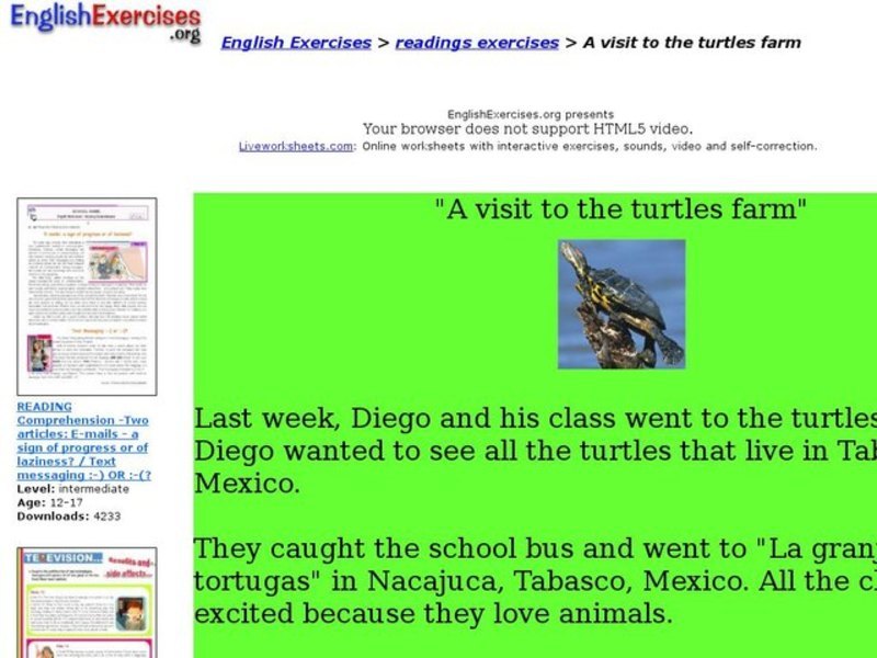 A Visit to the Turtle Farm Interactive