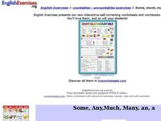 ESL: A, Many, An, Any, Some, Much Interactive