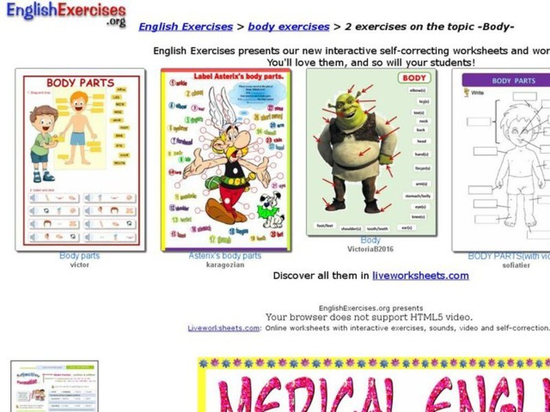 ESL Vocabulary: "Medical English-Body" Interactive