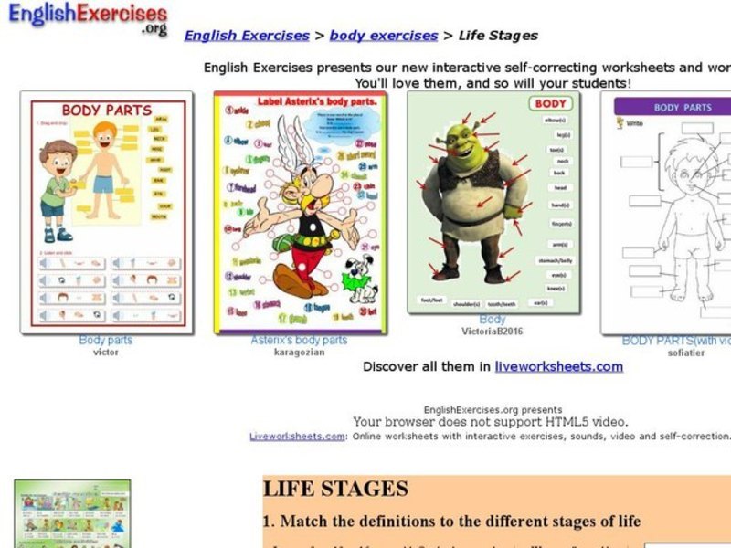 Life Stages Interactive