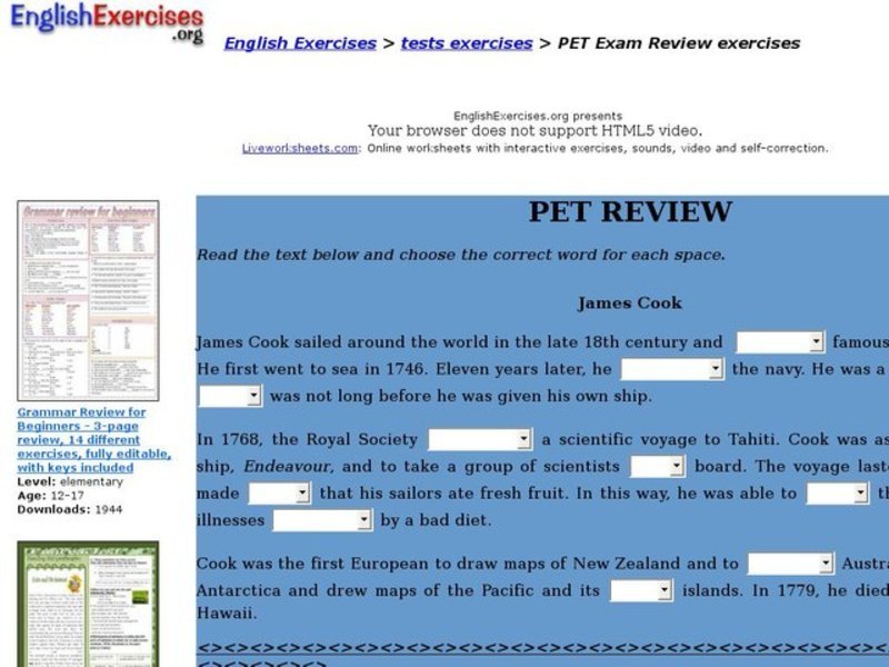PET Review Interactive