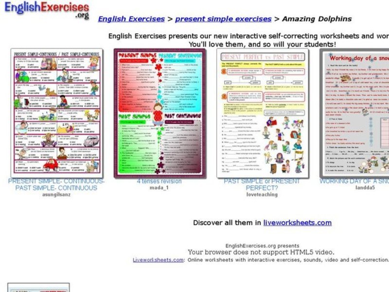 Amazing Dolphins Interactive