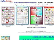 There Is / Are / Some / Any Interactive