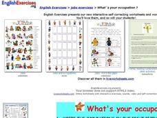 What´s Your Occupation? Interactive