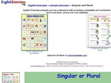 ESL: Singular or Plural? Interactive