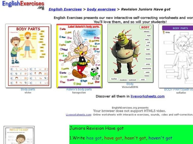 ESL: Haven't Got, Has Got, Hasn't Got, Have Got Interactive