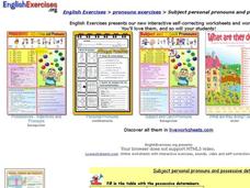Subject Personal Pronouns and Possessive Determiners Interactive