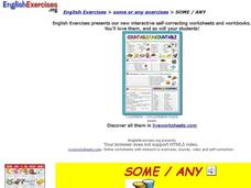 Some / Any Interactive