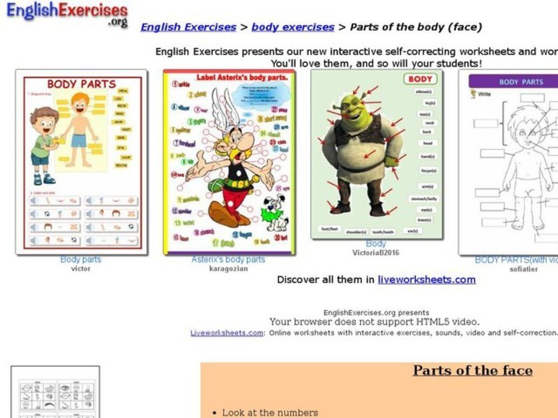 ESL Vocabulary-Parts of the Face Interactive