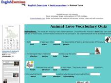 Animal Love Interactive