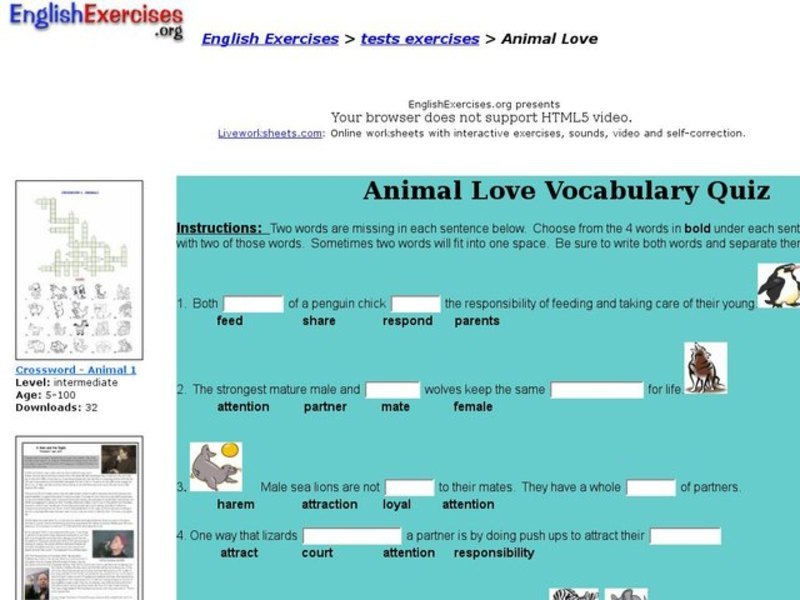 Animal Love Interactive