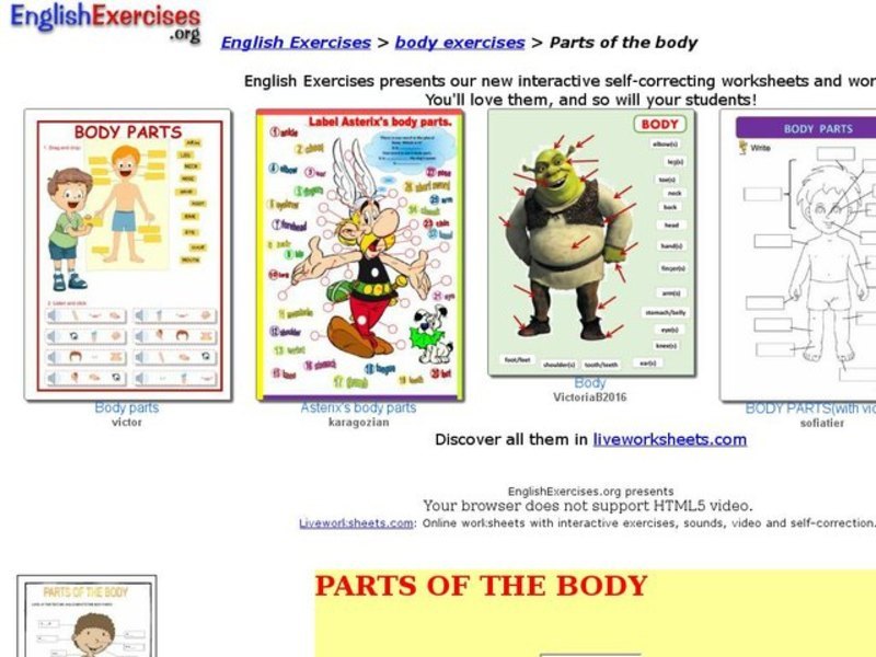  Parts of the Body Interactive