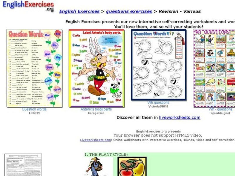 Revision - Various Interactive