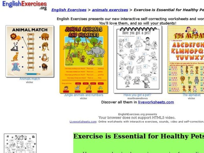 Exercise is Essential for Healthy Pets Interactive
