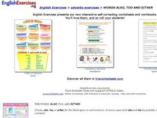 ESL: Also, Too and Either Interactive