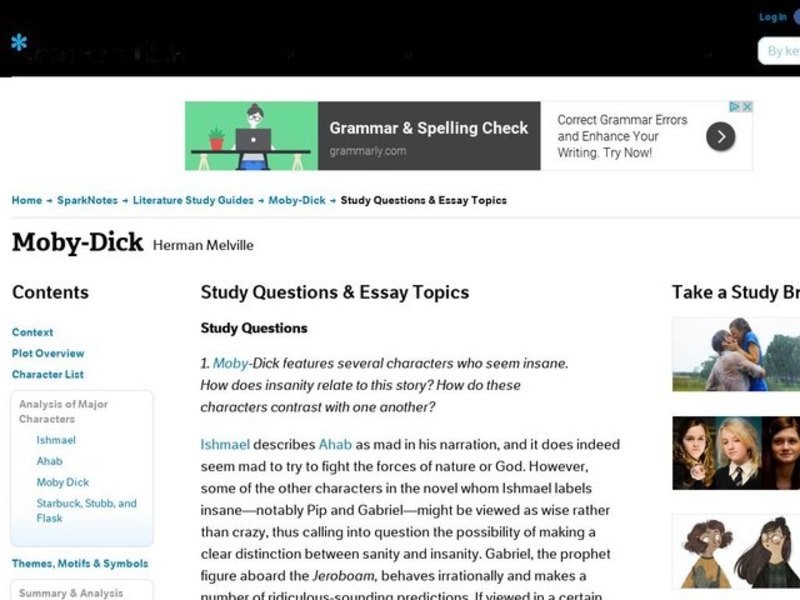 Moby-Dick by Herman Melville: Study Guide - Mini Essays Study Guide