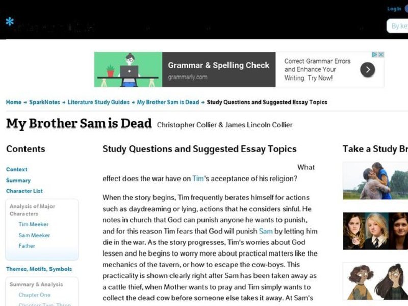 My Brother Sam is Dead by Christopher Collier & James Lincoln Collier: Study Guide - Mini Essays Study Guide