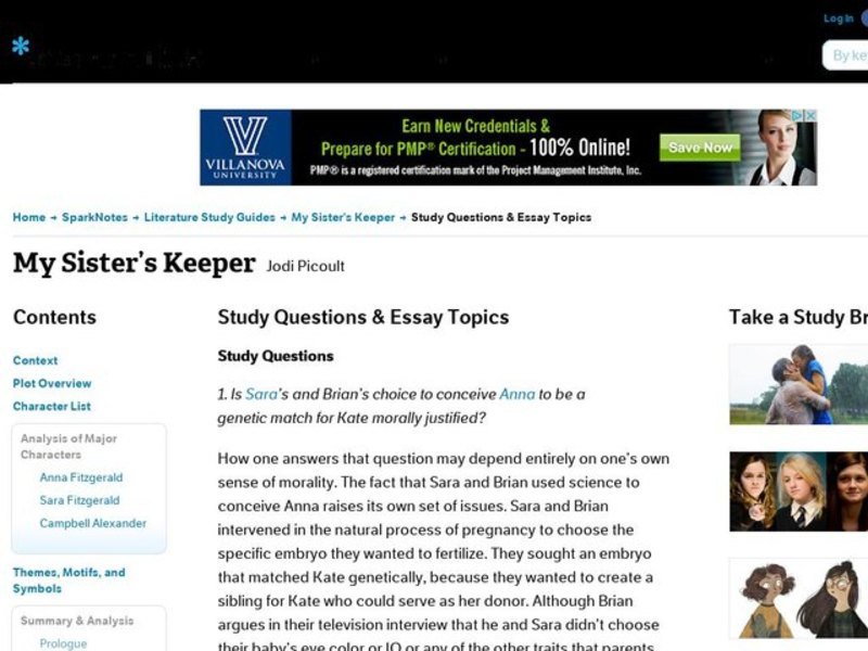 My Sister's Keeper by Jodi Picoult: Study Guide - Mini Essays Study Guide