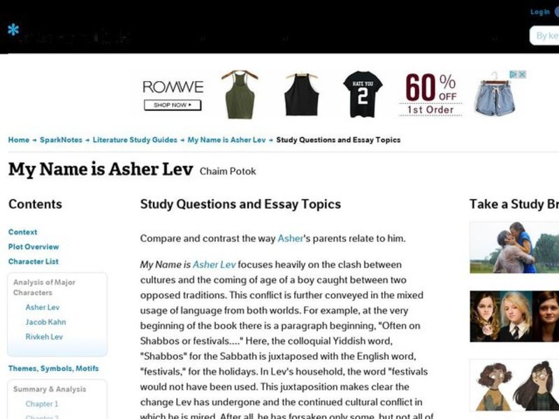My Name is Asher Lev by Chaim Potok: Study Guide - Mini Essays Study Guide