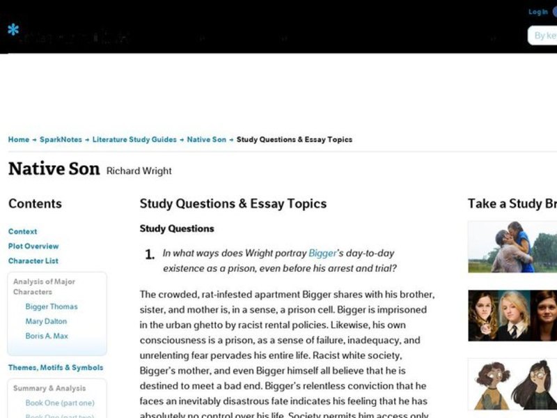 Native Son by Richard Wright: Study Guide - Mini Essays Study Guide