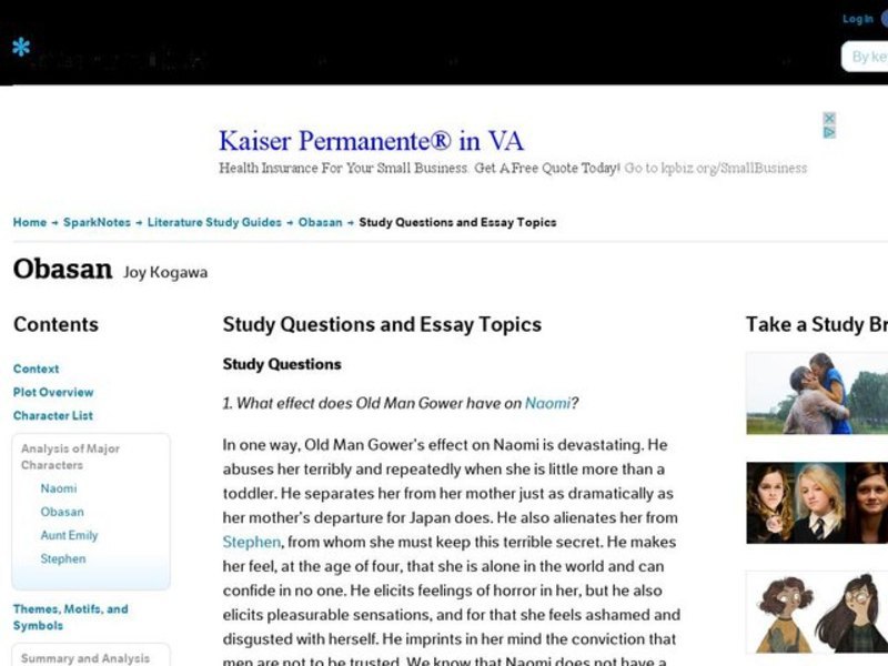 Obasan by Joy Kogawa: Study Guide - Mini Essays Study Guide