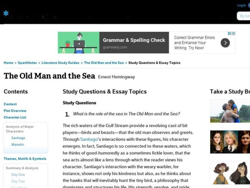 The Old Man and the Sea by Ernest Hemingway: Study Guide - Mini Essays Study Guide