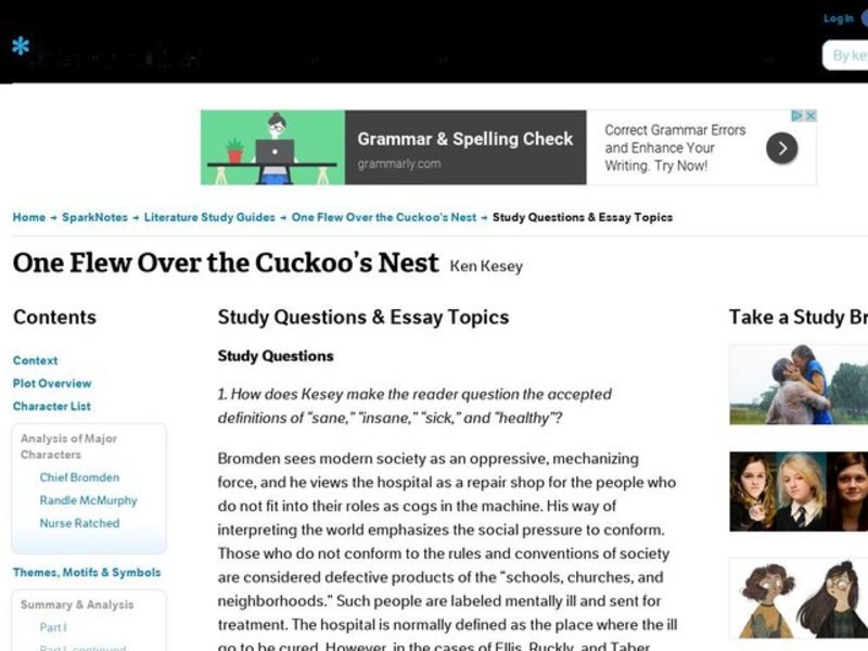 One Flew Over the Cuckoo’s Nest by Ken Kesey: Study Guide - Mini Essays Study Guide