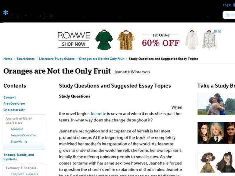 Oranges are Not the Only Fruit by Jeanette Winterson: Study Guide - Mini Essays Study Guide