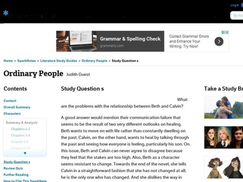 Ordinary People by Judith Guest: Study Guide - Mini Essays Study Guide