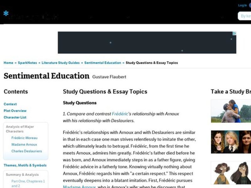 Sentimental Education by Gustave Flaubert: Study Guide - Mini Essays Study Guide