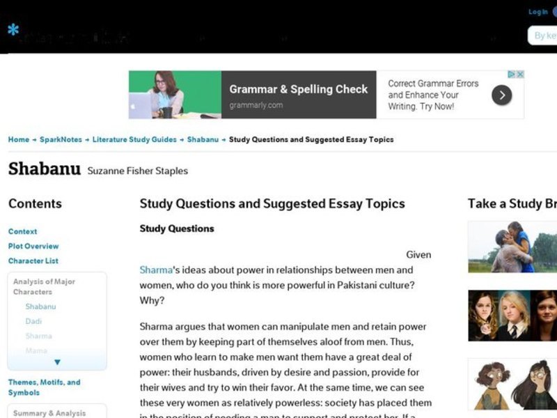 Shabanu by Suzanne Fisher Staples: Study Guide - Mini Essays Study Guide