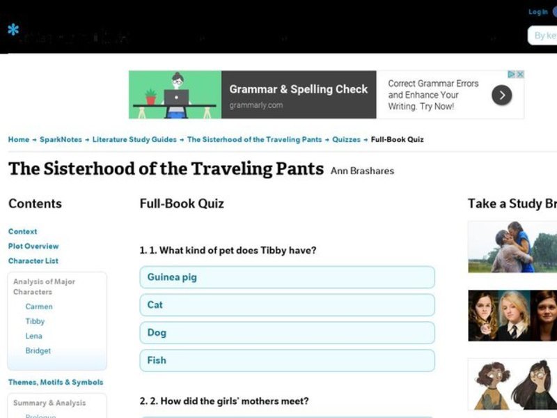 The Sisterhood of the Traveling Pants Quiz Interactive