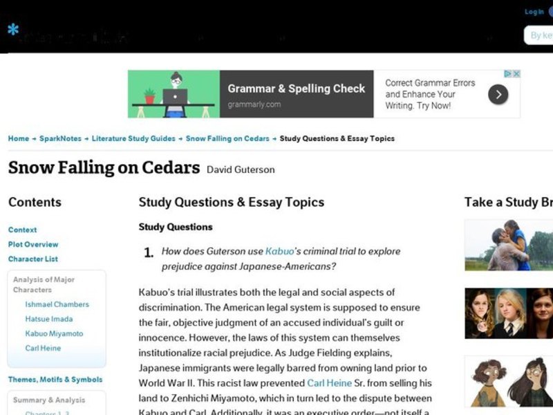 Snow Falling on Cedars by David Guterson: Study Guide - Mini Essays Study Guide