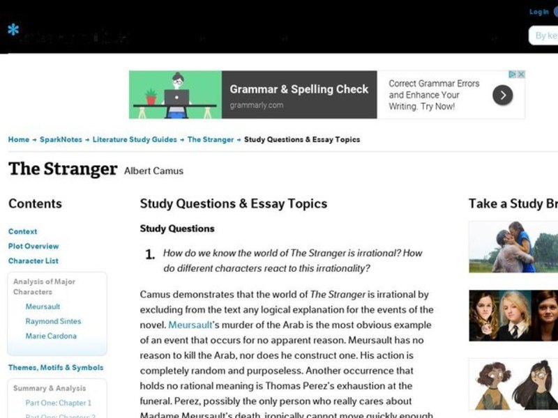 The Stranger by Albert Camus: Study Guide - Mini Essays Study Guide