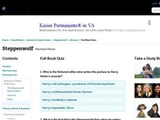Steppenwolf Quiz Interactive