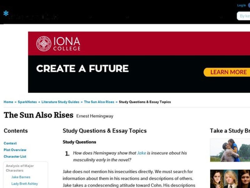 The Sun Also Rises by Ernest Hemingway: Study Guide - Mini Essays Study Guide