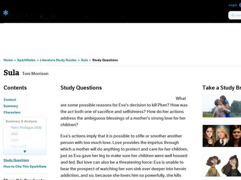 Sula by Toni Morrison: Study Guide - Mini Essays Study Guide