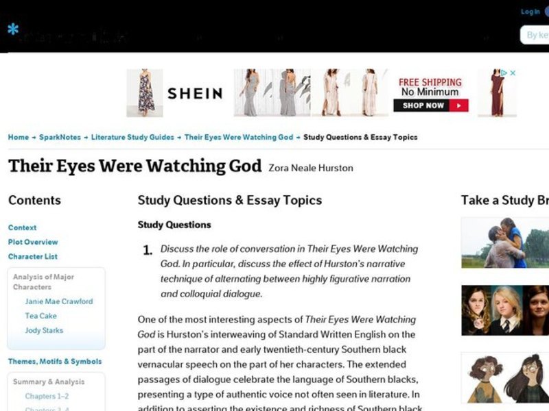 Their Eyes Were Watching God by Zora Neale Hurston: Study Guide - Mini Essays Study Guide