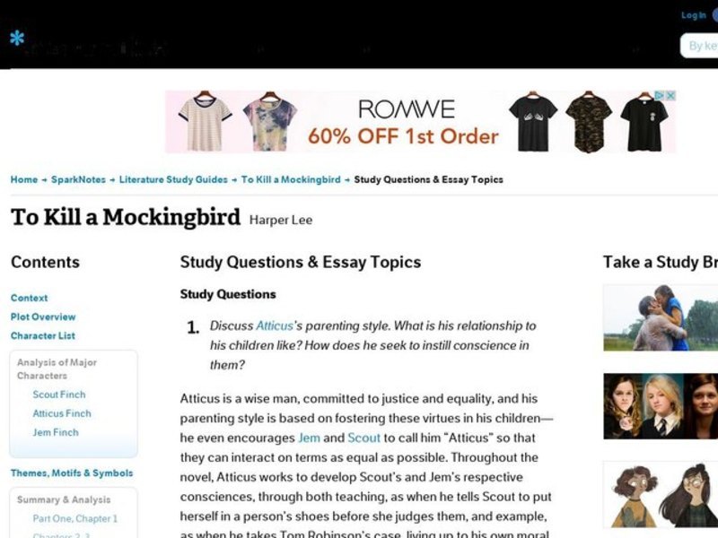 To Kill a Mockingbird by Harper Lee: Study Guide - Mini Essays Study Guide